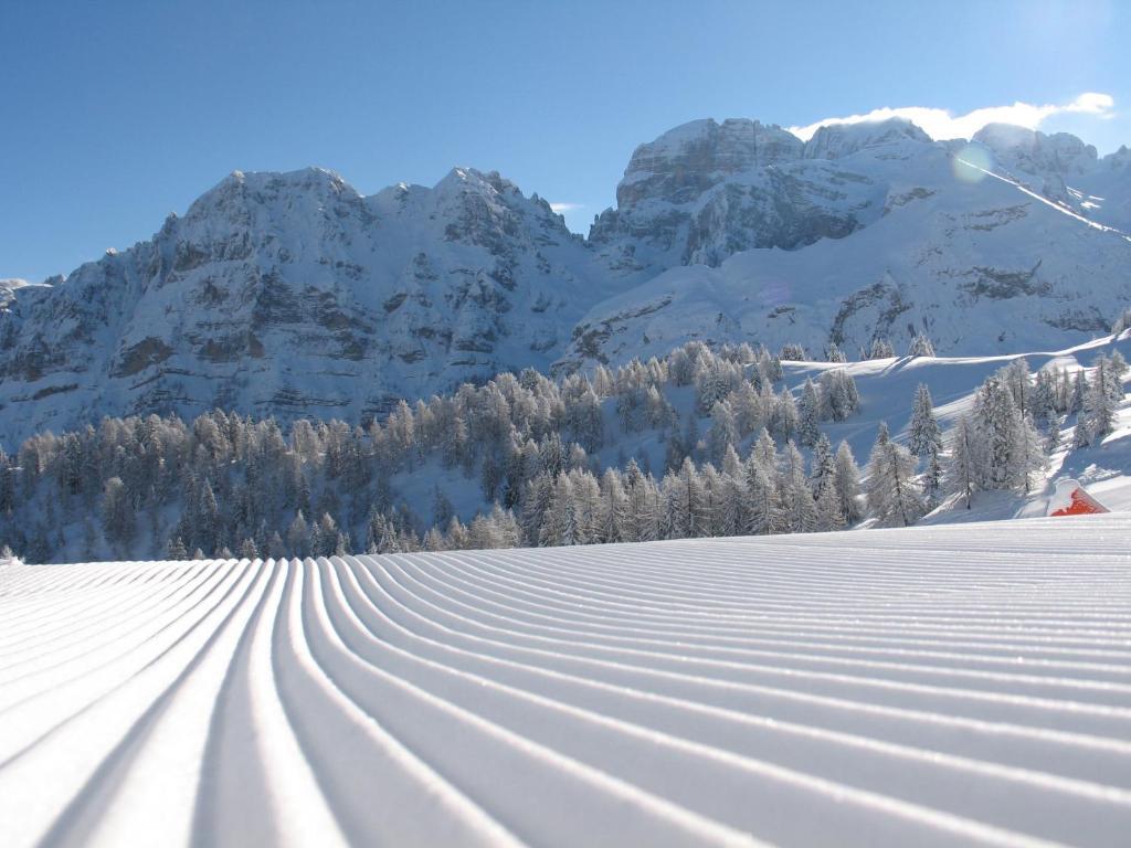 Chalet Fiocco Di Neve Pinzolo Esterno foto